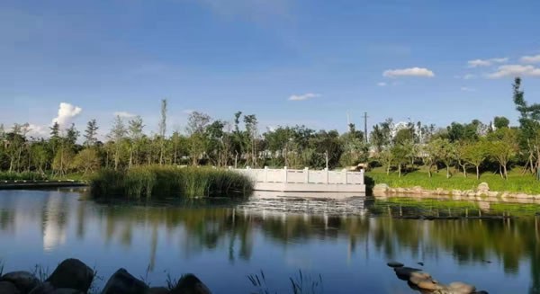 昆明秧草凹污水处理厂尾水物化--生态组合深度处理系统项目（EPC+O）